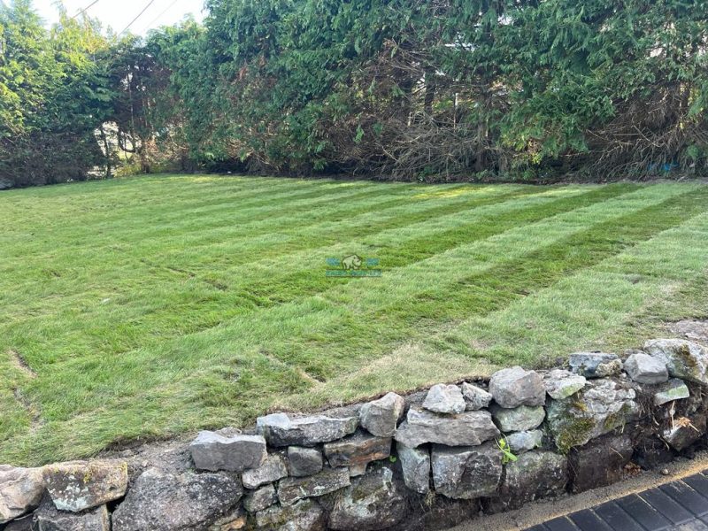Rhino pave slate grey paved driveway and pathway with new turf lawn and steps in holywell flintshire 12.jpeg